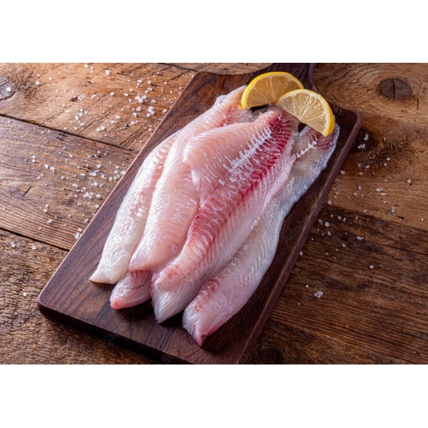 Frozen Haddock Fillet in Dubai,Sharjah,Ajman
